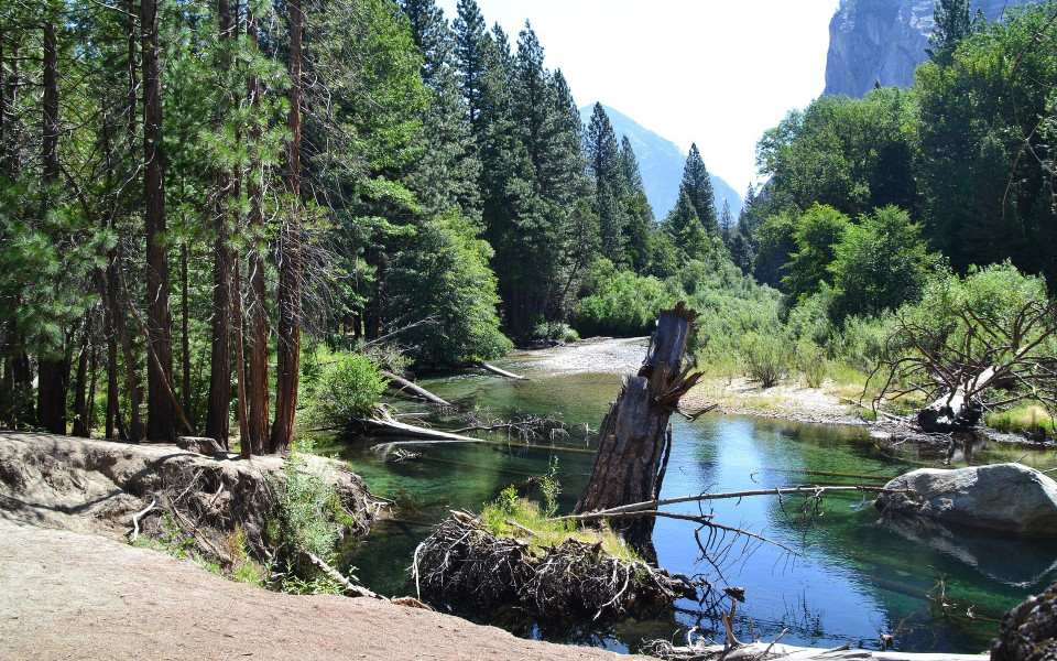 sequoia-nationalpark-in-kalifornien-im-fruehling