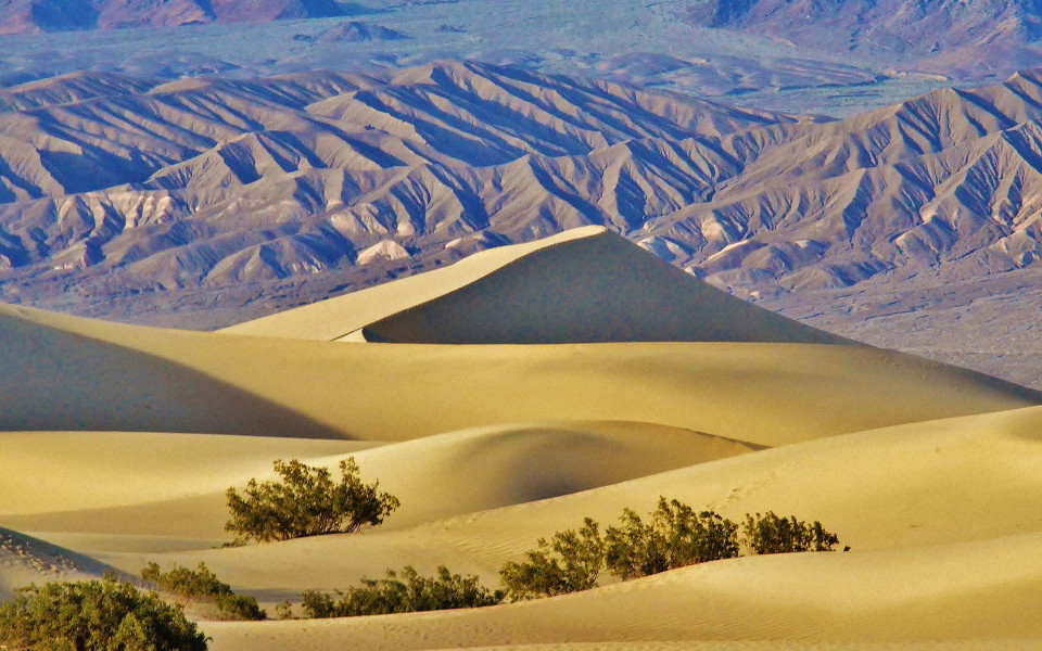 death-valley-mesquite-sand-dunes