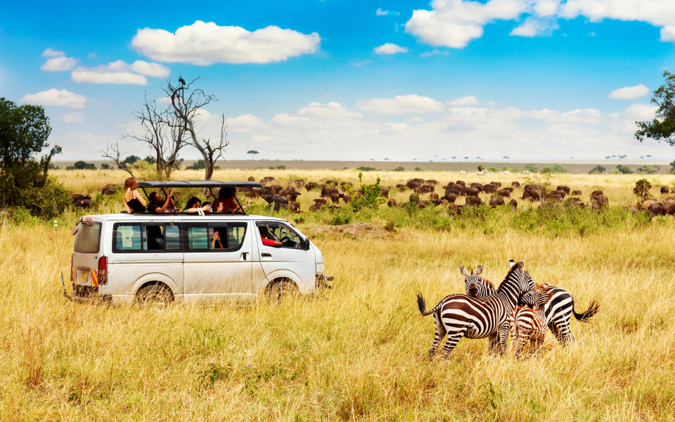 Reiseziel im Juni: Safari in Kenia